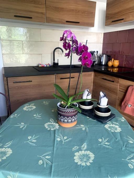Maisonnette De Jardin Μασσαλία Εξωτερικό φωτογραφία