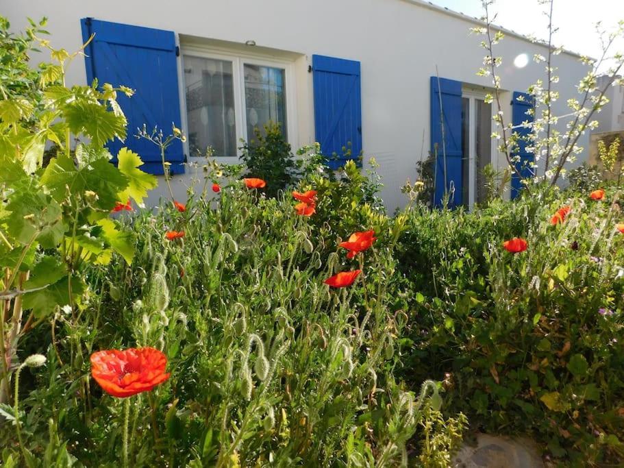 Maisonnette De Jardin Μασσαλία Εξωτερικό φωτογραφία