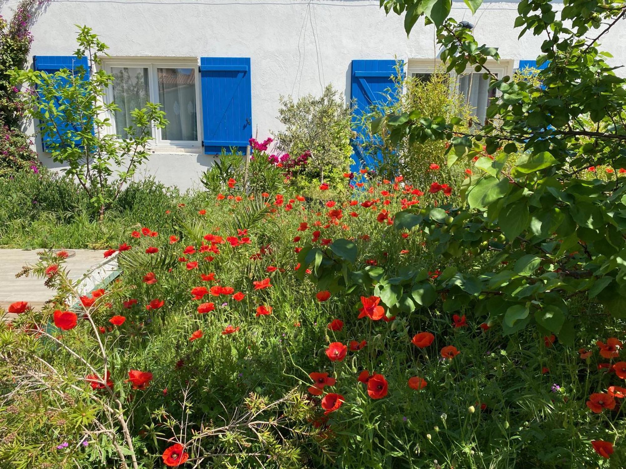 Maisonnette De Jardin Μασσαλία Εξωτερικό φωτογραφία